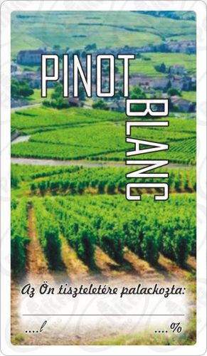 Matrica pinot blanc 50db/csom